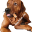 deutschland-zuerst.eu favicon